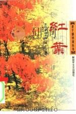 红叶 第19辑 1999 PDF电子版封面 9·5033·10 红叶诗社编