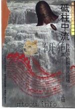 砥柱中流  抗战中的解放区战场（1995 PDF版）