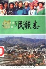隆林各族自治县民族志（1989 PDF版）