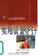 实用资金会计 1999 PDF电子版封面 7810446053 张建军,毛岩亮主编