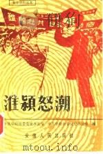 淮颍怒潮（1992 PDF版）