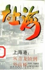 大上海  上海港：从青龙镇到外高桥（1991 PDF版）