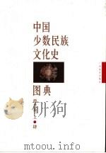 中国少数民族文化史图典  第4卷  西北卷  上（1999 PDF版）