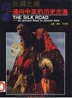 丝绸之路 通向中亚的历史古道 an ancient road to central Asia 1993 PDF电子版封面 7800990273 刘文敏主编摄影