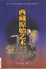 西藏原始艺术 1998 PDF电子版封面 7220031106 李永宪著