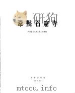 巩县石窟寺（1963 PDF版）