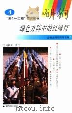 绿色方阵中的红绿灯（1994 PDF版）