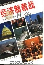 经济制裁战（1995 PDF版）