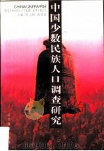 中国少数民族人口调查研究（1996 PDF版）
