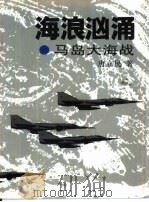 海浪汹涌  马岛大海战（1994 PDF版）
