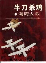 牛刀杀鸡 海湾大战 1995 PDF电子版封面 7500417098 于江明著