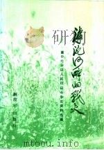 滹沱河衅的战火（1991年05月第1版 PDF版）