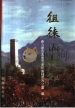 徂徕山起义（1997 PDF版）