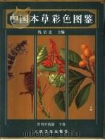 中国本草彩色图鉴 常用中药篇 下 1996 PDF电子版封面 7117023236 钱信忠主编