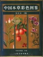 中国本草彩色图鉴  常用中药篇  中（1996 PDF版）