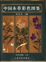 中国本草彩色图鉴  常用中药篇  上（1996 PDF版）