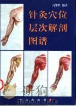 针灸穴位层次解剖图谱（1999 PDF版）