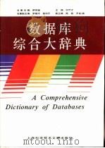 数据库综合大辞典 1995 PDF电子版封面 7543905973 何守才主编