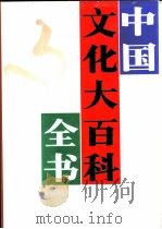 中国文化大百科全书  艺术卷（ PDF版）