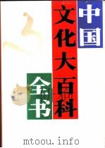 中国文化大百科全书  文学卷（1994 PDF版）