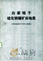 白家咀子硫化铜镍矿床地质（1984 PDF版）