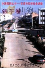 百县市经济社会调查：镇平卷（1998 PDF版）