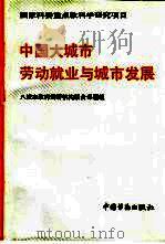 中国大城市劳动就业与城市发展（1993 PDF版）