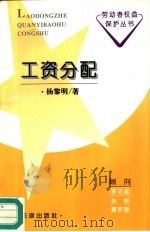 工资分配 1996 PDF电子版封面 7503618124 杨黎明著