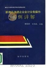 新商品流通企业会计业务操作实例讲解（1994 PDF版）