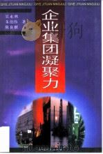 企业集团凝聚力（1997 PDF版）