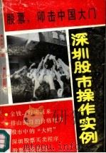 股票，叩击中国大门  深圳股市大震荡（1992 PDF版）