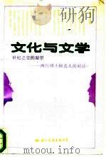 文化与文学：世纪之交的凝望  两位博士候选人的对话（1993 PDF版）