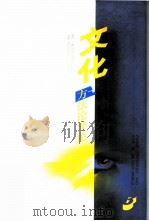 文化方法论导论（1996 PDF版）