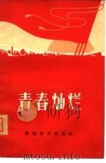 青春灿烂（1965 PDF版）