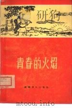 青春的火焰（1965 PDF版）