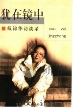 犹在镜中  戴锦华访谈录（1999 PDF版）