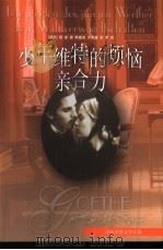少年维特的烦恼  亲和力（1998 PDF版）