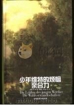 少年维特的烦恼  亲合力（1998 PDF版）