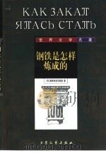 钢铁是怎样炼成的（1999 PDF版）