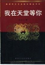 我在天堂等你（1999 PDF版）
