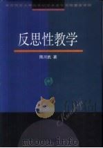 反思性教学（1999 PDF版）