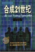 合成21世纪（1998 PDF版）