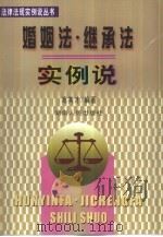 婚姻法·继承法实例说（1999 PDF版）