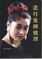 流行发辫梳理（1994 PDF版）