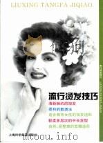 流行烫发技巧 1997 PDF电子版封面 7542711245 曹杨编