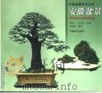 安徽盆景（1999 PDF版）