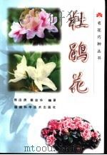 杜鹃花（1999 PDF版）