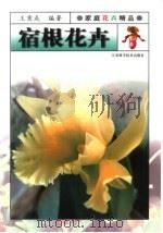 宿根花卉 1999 PDF电子版封面 7534528143 王意成编著