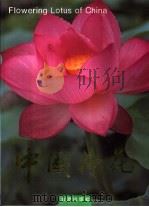 中国荷花（1997 PDF版）