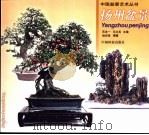 扬州盆景 1999 PDF电子版封面 7503822767 赵庆泉编著